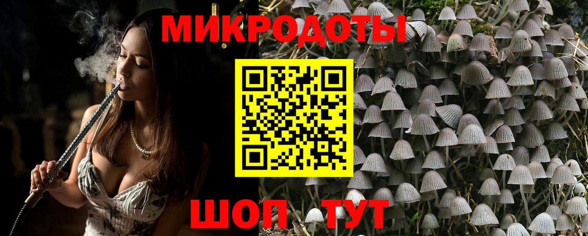 где купить наркоту  Галлюциногенные грибы Cubensis  Тамбов  Вход с VPN  Псилоцибиновые грибы GOLDEN TEACHER 
